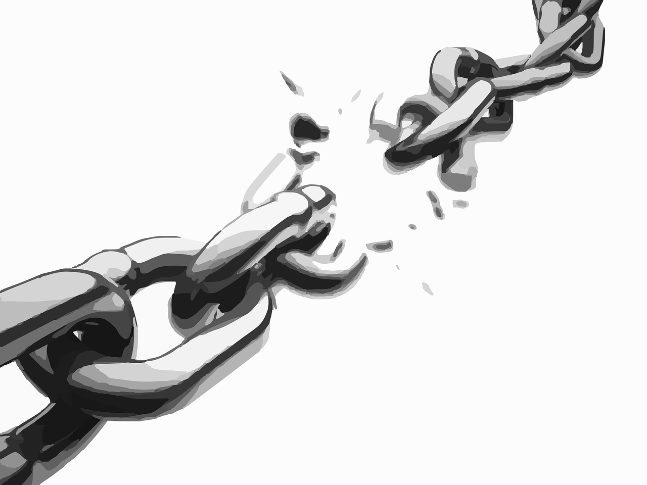 Las 7 claves de las organizaciones que prosperan en tiempos de disrupción tecnológica